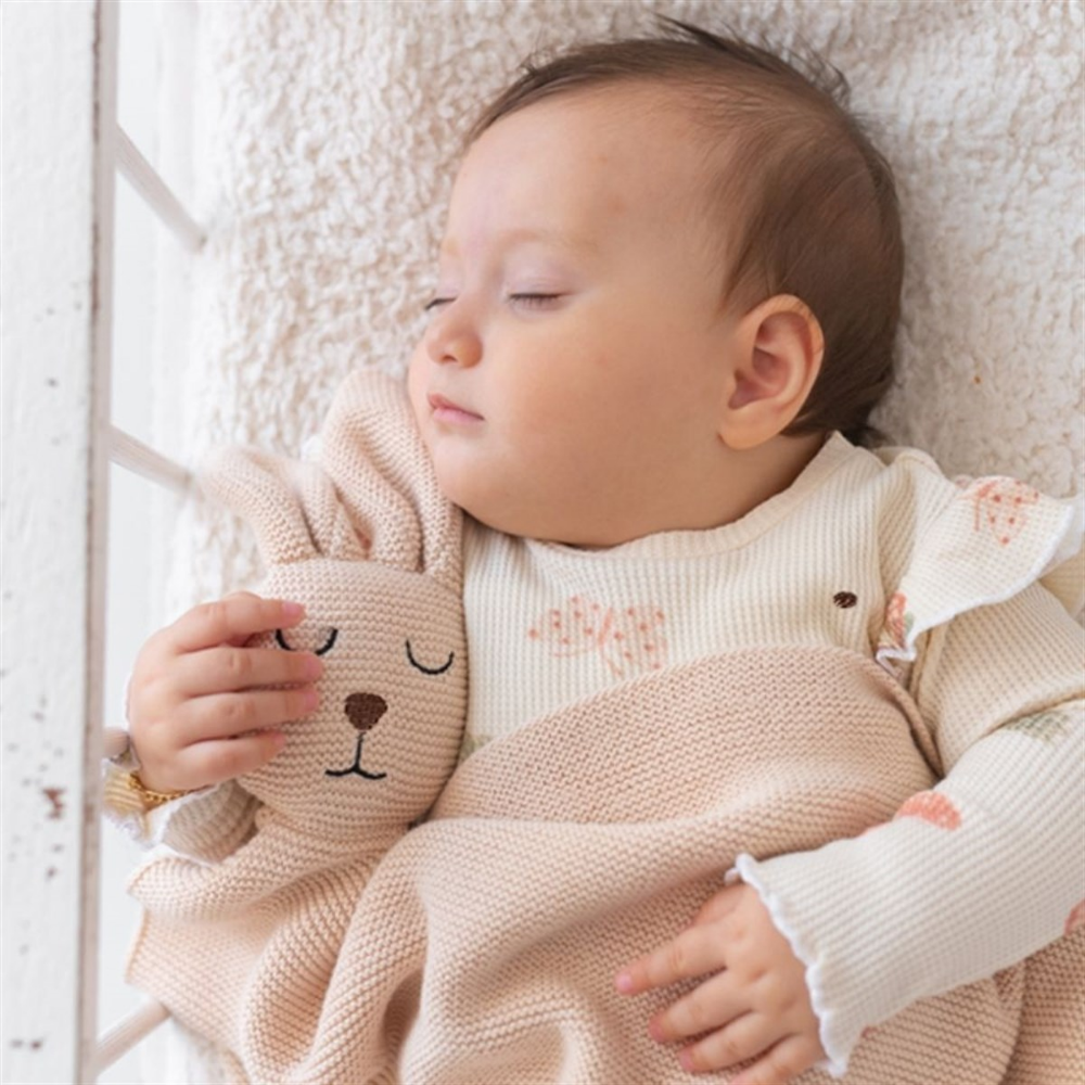 Organic Knit Blanket with Sleep Companion